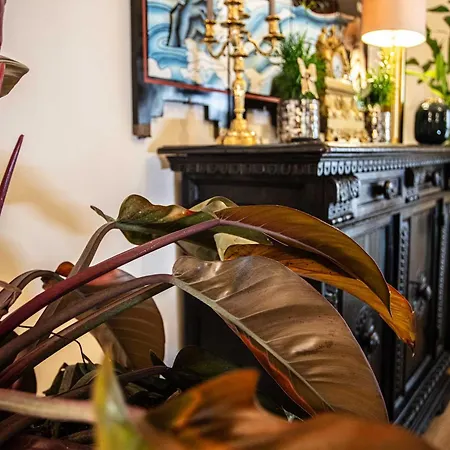 Bstar Luxury Adults Only Bologna