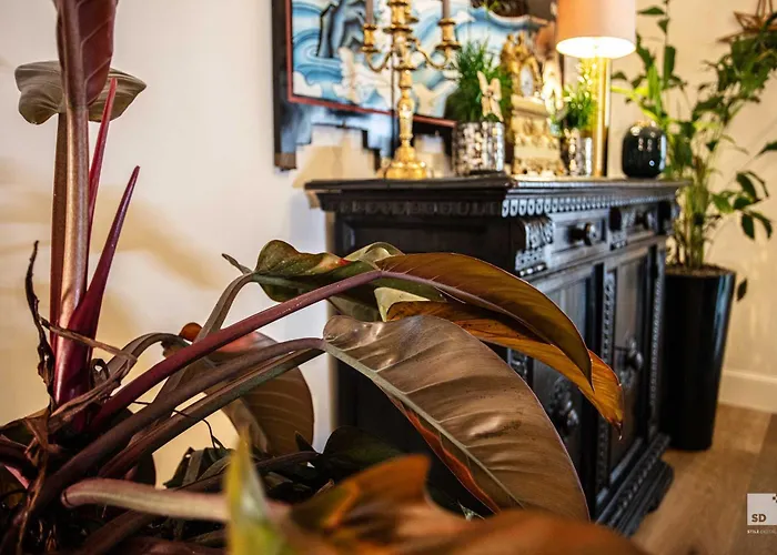 Bstar Luxury Adults Only Болонья