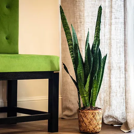 Bstar Luxury Adults Only Bed and Breakfast 4*