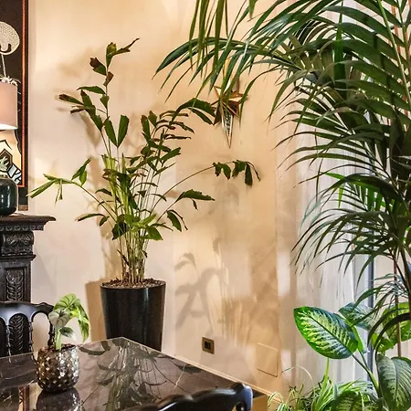 Bstar Luxury Adults Only