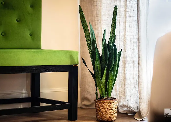 Bstar Luxury Adults Only לינה וארוחת בוקר 4*